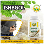 Basic Ayurveda Ishbgol Psyllium Husk | Grocsy
