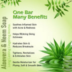 Prakriti Herbal Soap Aloevera and Neem | Grocsy