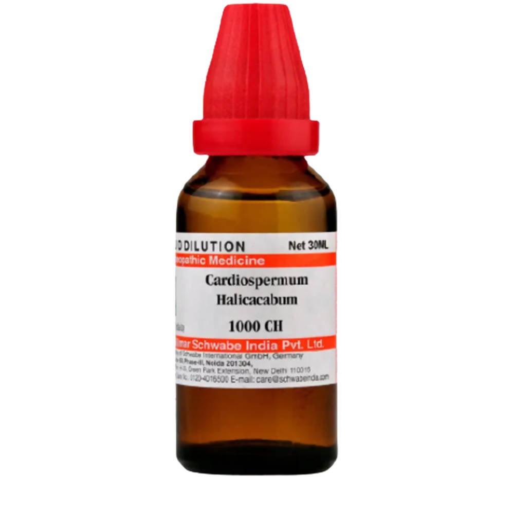 Dr. Willmar Schwabe India Cardiospermum Helicacabum Dilution | Grocsy