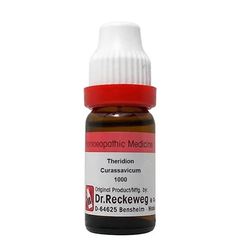 Dr. Reckeweg Theridion Curassavicum Dilution | Grocsy