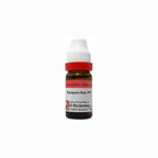 Dr. Reckeweg Epigaea Rep Dilution | Grocsy