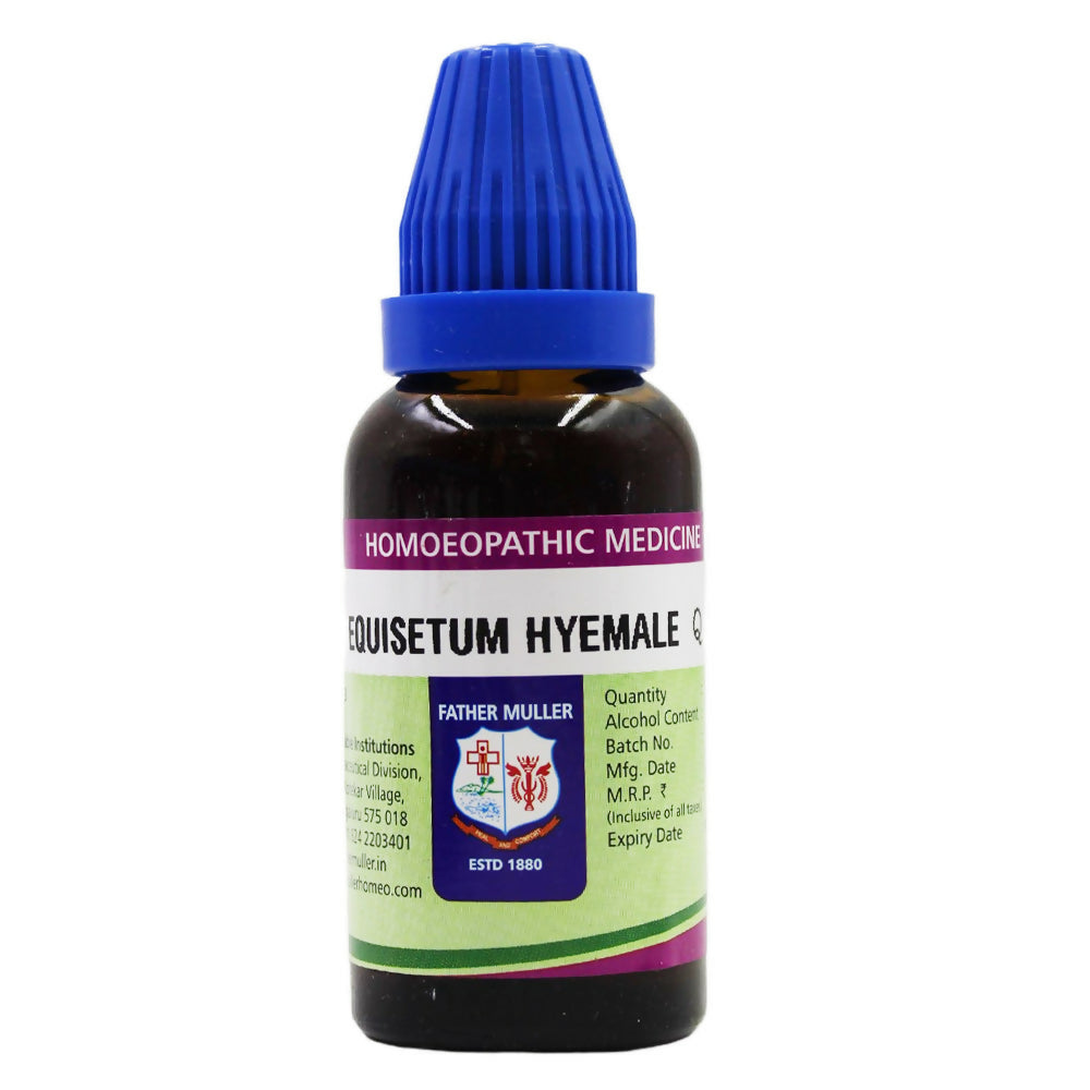 Father Muller Equisetum Hyemale Mother Tincture Q | Grocsy