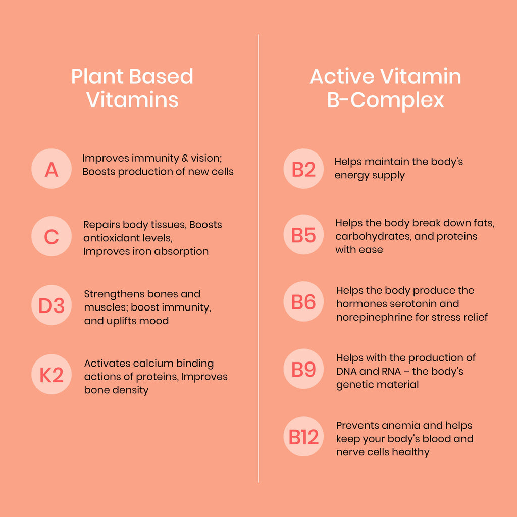 Wellbeing Nutrition Melts Into Multivitamins Oral Strips-Divine Alphonso Mango Flavor | Grocsy
