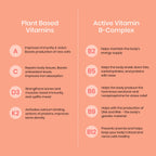 Wellbeing Nutrition Melts Into Multivitamins Oral Strips-Divine Alphonso Mango Flavor | Grocsy