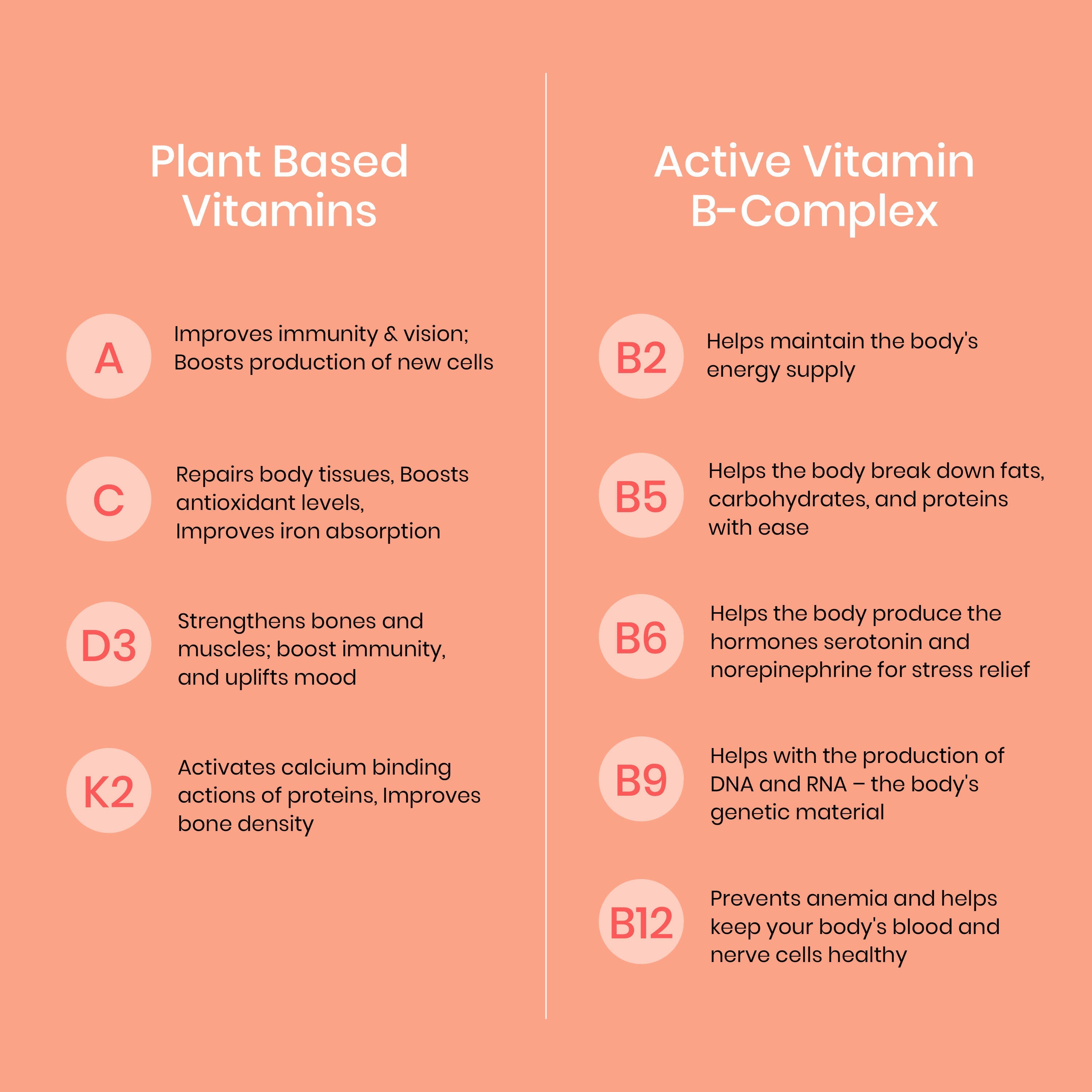 Wellbeing Nutrition Melts Into Multivitamins Oral Strips-Divine Alphonso Mango Flavor | Grocsy