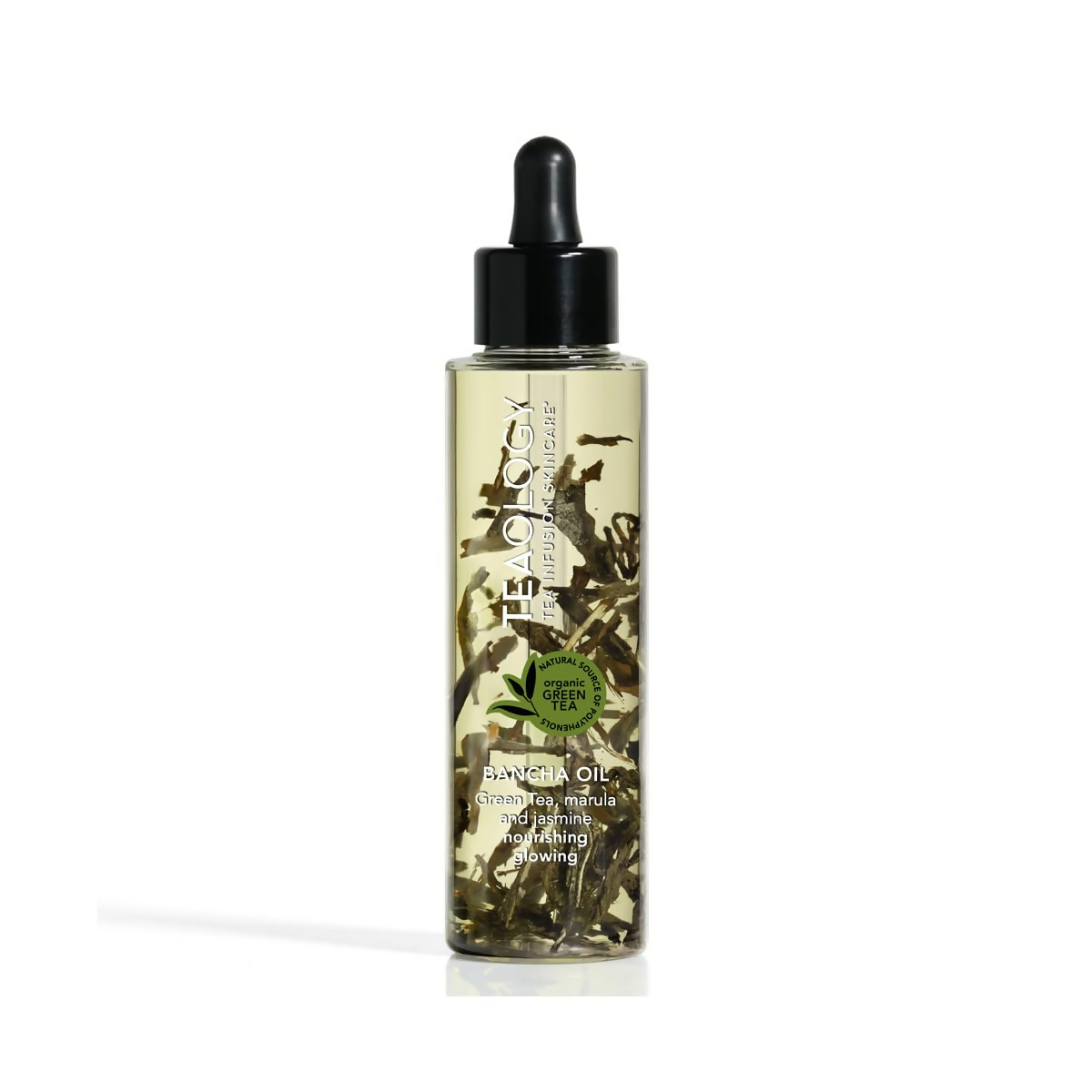 Teaology Bancha Oil | Grocsy