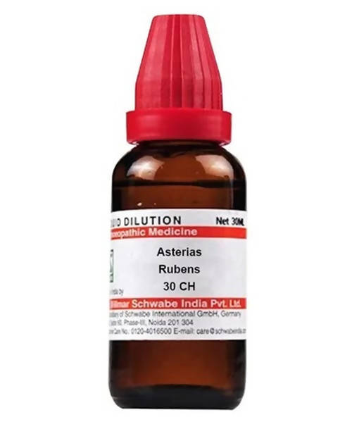 Dr. Willmar Schwabe India Asterias Rubens Dilution | Grocsy