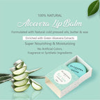 Glamveda Aloe Vera Lip Balm | Grocsy