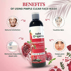 Nake Organica Pomegranate Pimple Clear Face Wash | Grocsy