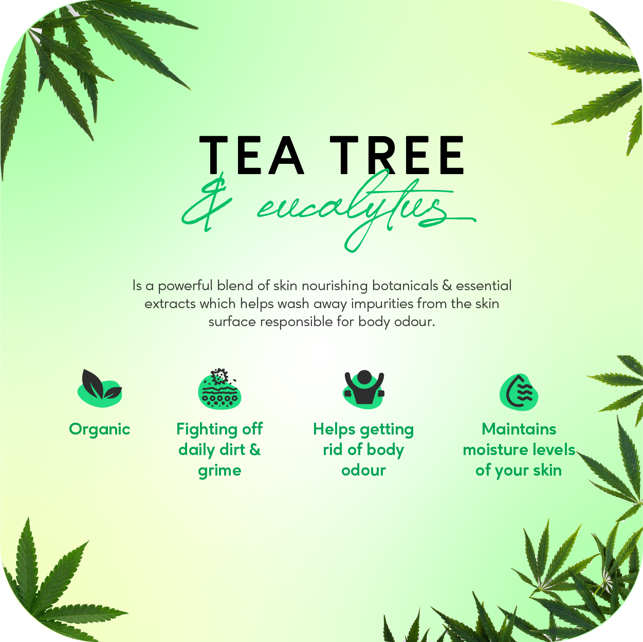 Careberry Organic Tea Tree Eucalyptus Oil Shower Gel | Grocsy
