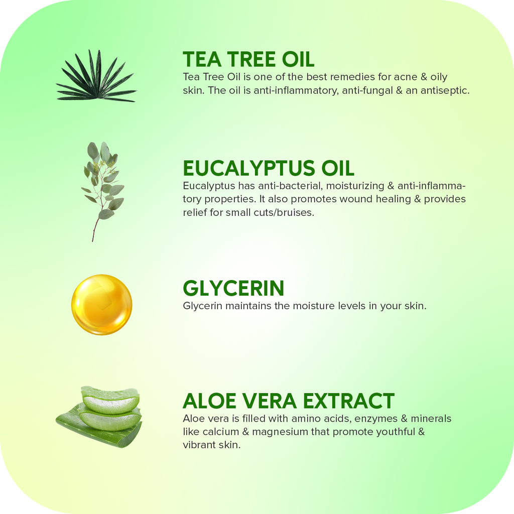 Careberry Organic Tea Tree Eucalyptus Oil Shower Gel | Grocsy