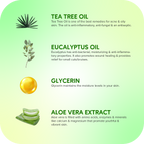 Careberry Organic Tea Tree Eucalyptus Oil Shower Gel | Grocsy