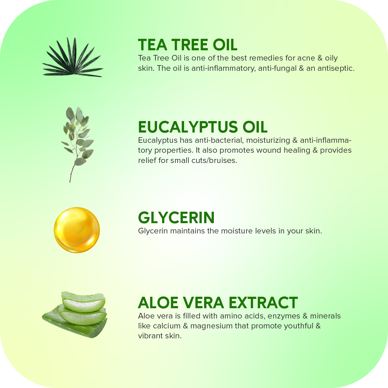 Careberry Organic Tea Tree Eucalyptus Oil Shower Gel | Grocsy