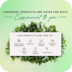 Careberry Organic Tea Tree Eucalyptus Oil Shower Gel | Grocsy