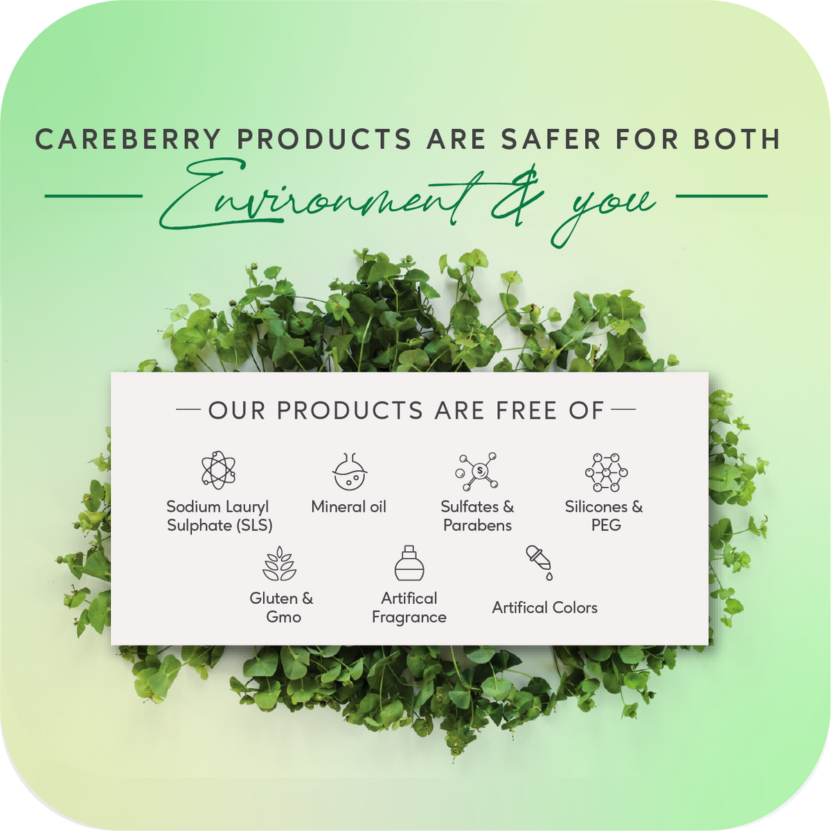 Careberry Organic Tea Tree Eucalyptus Oil Shower Gel | Grocsy