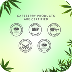 Careberry Organic Tea Tree Eucalyptus Oil Shower Gel | Grocsy