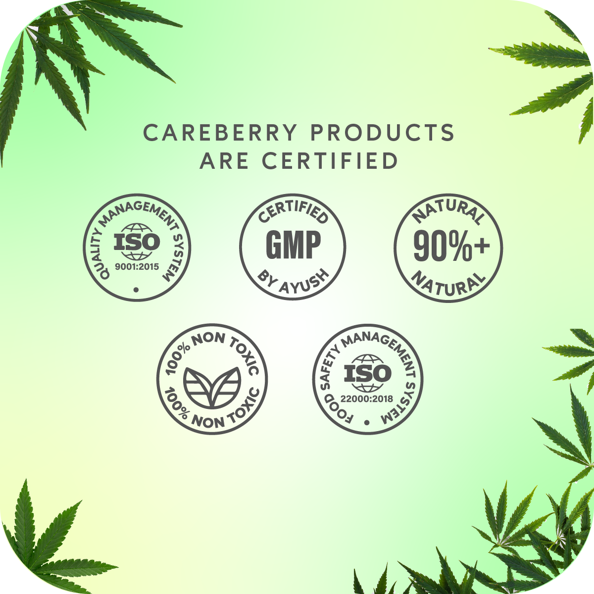 Careberry Organic Tea Tree Eucalyptus Oil Shower Gel | Grocsy