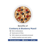 True Elements Cranberry And Blueberry Muesli