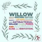 Ningen Willow Spot Correction Face Gel | Grocsy