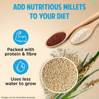 Tata Soulfull Nutri Drink+ With Millets, 0% Added Sugar - Almond Flavor | Grocsy