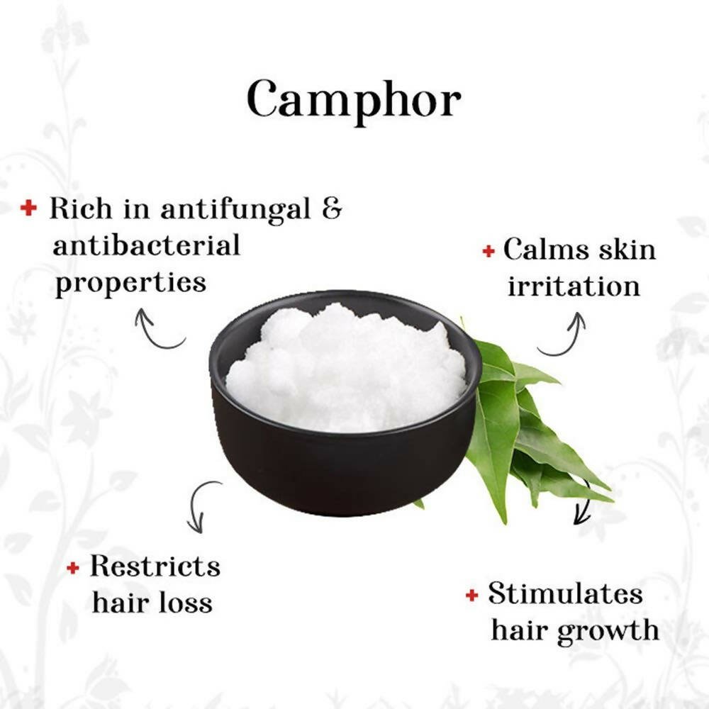 Alps Goodness Camphor Essential Oil | Grocsy