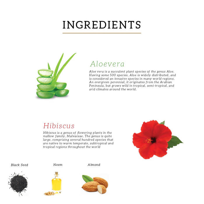 Khadi Natural Hibiscus & Aloe Vera Hair Oil | Grocsy