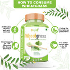 Divya Shree Wheatgrass Capsules | Grocsy