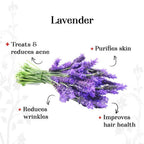 Alps Goodness Lavender Essential Oil | Grocsy