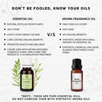 Bella Vita Organic Tea Tree Essential Oil | Grocsy