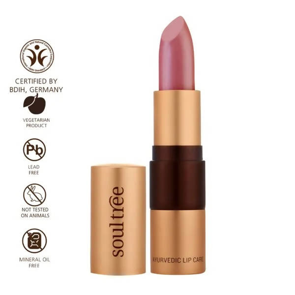 Soultree Ayurvedic Lipstick Nude Pink 500 | Grocsy
