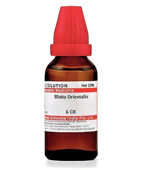 Dr. Willmar Schwabe India Blatta Orientalis Dilution | Grocsy