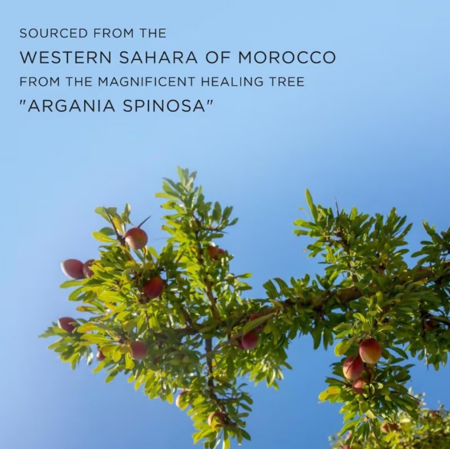 Kimirica organic Moroccan Argan Oil | Grocsy
