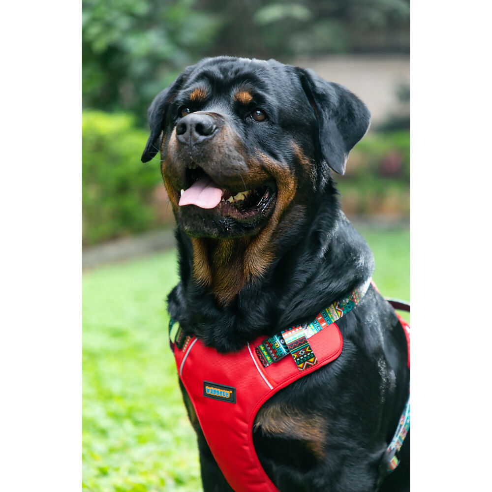 Waggety Adjustable Full Body Dog Harness - Comfortable Fit, Durable Polyester, Red | Grocsy