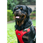 Waggety Adjustable Full Body Dog Harness - Comfortable Fit, Durable Polyester, Red | Grocsy