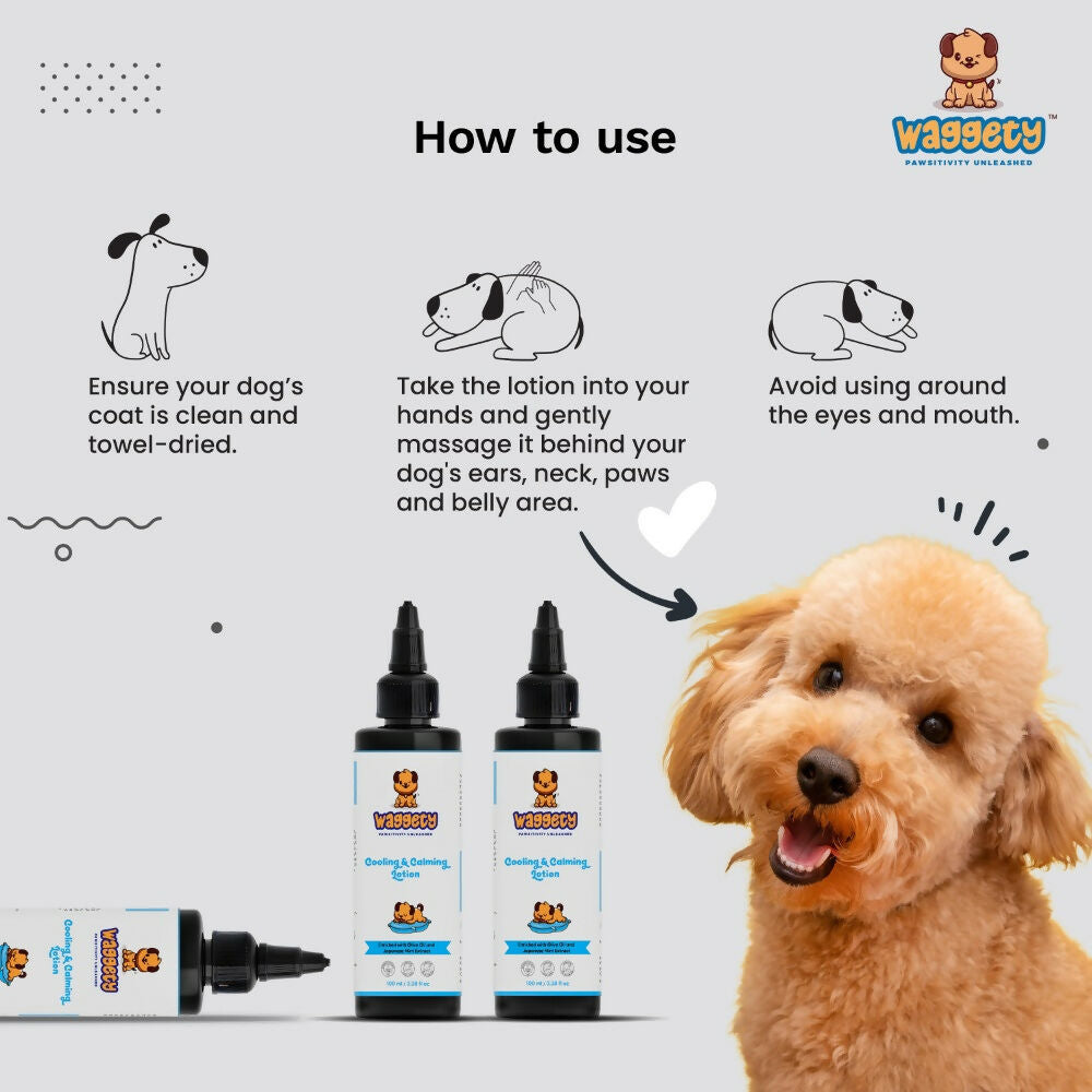 Waggety Cooling & Calming Lotion for Dogs | Grocsy