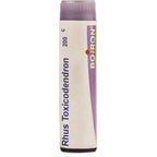Boiron Homeopathy Rhus Toxicodendron | Grocsy