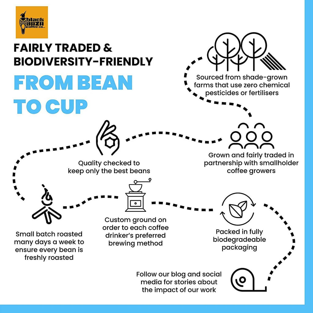 Black Baza Coffee Otter | Grocsy