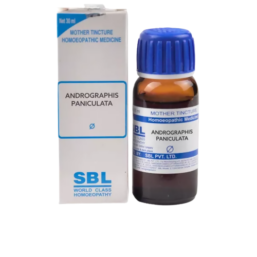 SBL Homeopathy Andrographis Paniculata (Kalmegh) Mother Tincture Q | Grocsy