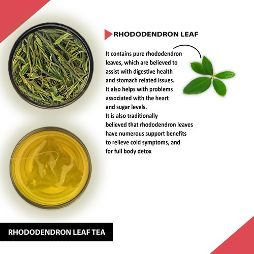 Teacurry Rhododendron Leaf Tea Bags | Grocsy
