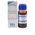 SBL Homeopathy Mullein Flower Mother Tincture Q | Grocsy