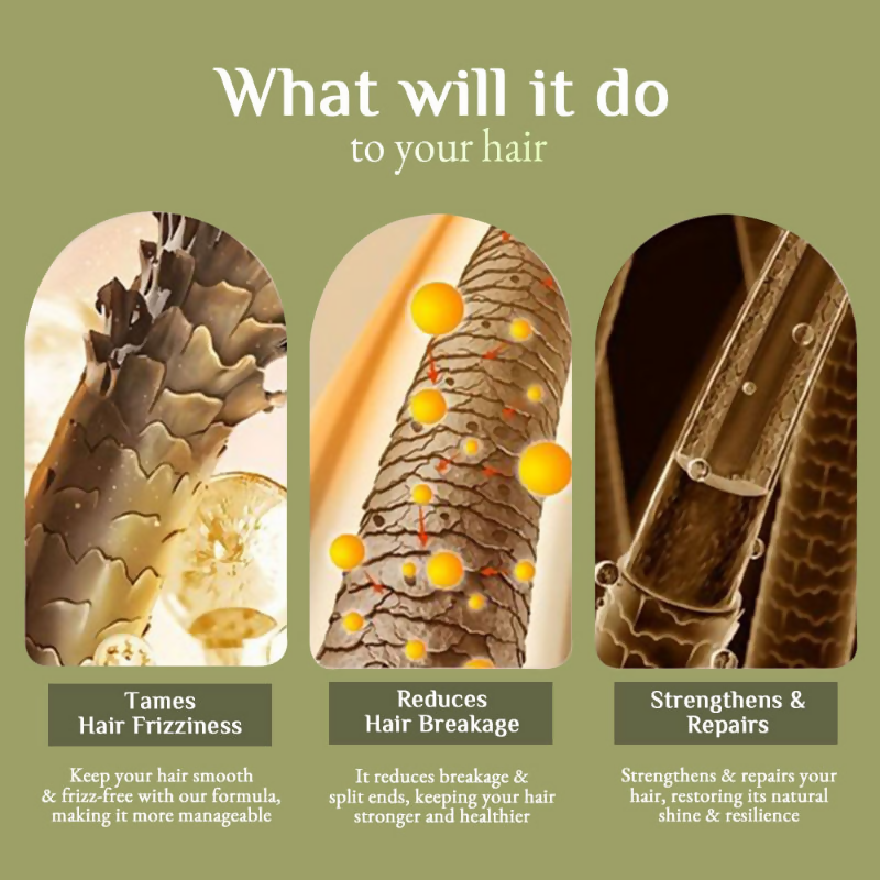 Richfeel Brahmi Hair Pack - Controls Hair Fall, Repairs Damage, Split Ends & Deeply Conditions | Grocsy