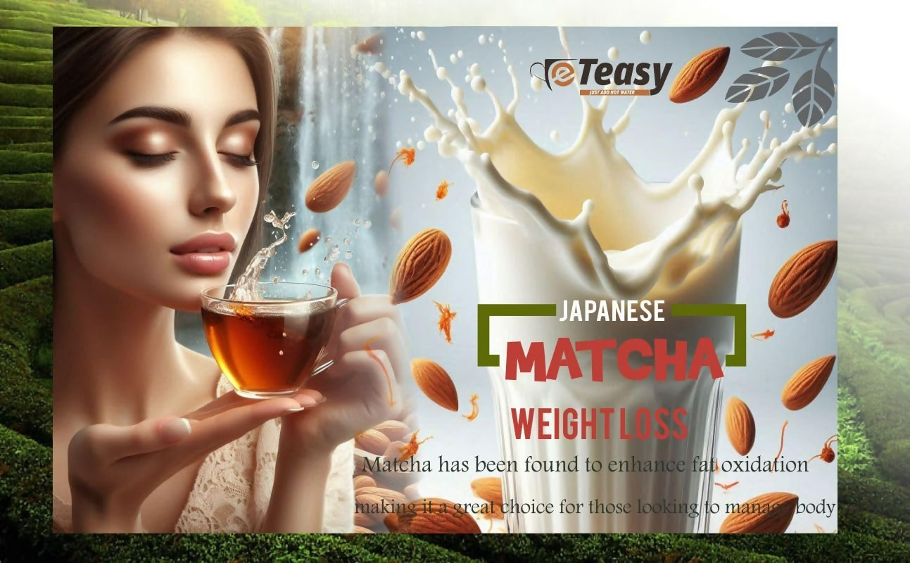 Eteasy Badam Slice Drink Mix Milk Shake Thick Powder | Grocsy