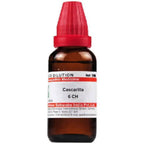 Dr. Willmar Schwabe India Cascarilla Dilution | Grocsy