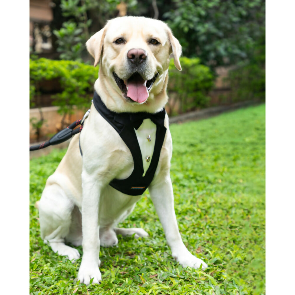 Waggety Tuxedo Dog Harness - Stylish Black & White Design, Adjustable Fit, Durable Fabric, Elegant Pet Harness for Dogs | Grocsy