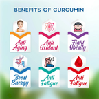 Rajasthan Herbals Curcumin Capsules | Grocsy