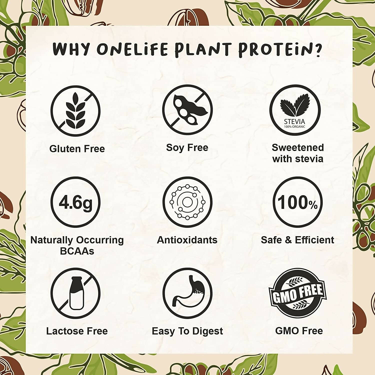 Onelife Plant Protein Mocha | Grocsy