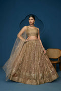 Brown Soft Netzari Embroidery Work Lehenga Choli - Jihu Culture | Grocsy