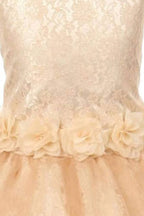 Asmaani Baby Girl's Gold Color Satin A-Line Frock (AS-DRESS-22132) | Grocsy