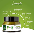 Organic Harvest Vitamin A Organic Day Cream with Broccoli & Aloe Vera | Grocsy