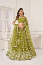 Eilara Women'S Olive Green Butterfly Net Embroidered Thread Work Party Wear Lehenga Choli | Grocsy